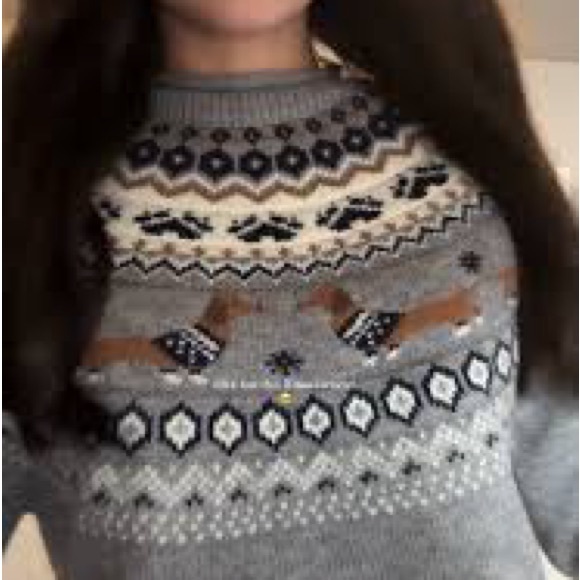 Cider Weiner Dog Dachshund Sweater - Picture 3 of 10